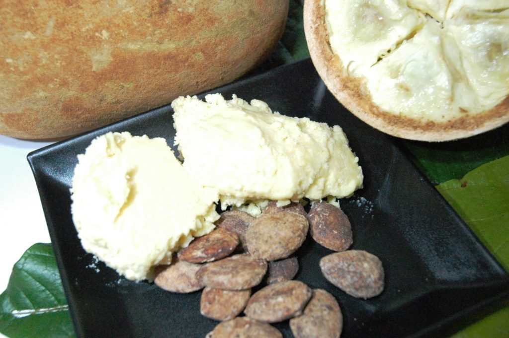 Beurre de cupuaçu (Wikipedia, P.S. Sena)
