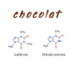 Le chocolat contient-il de la caféine