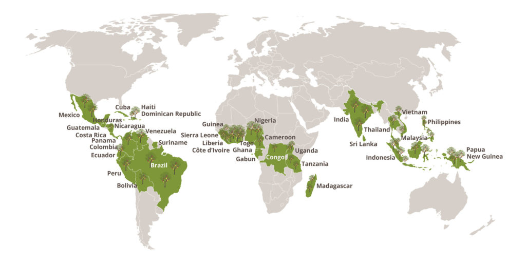 Carte des pays producteurs de cacao