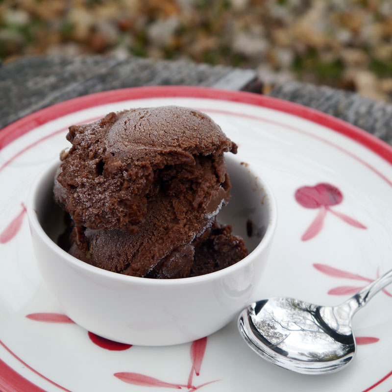 Sorbet au chocolat